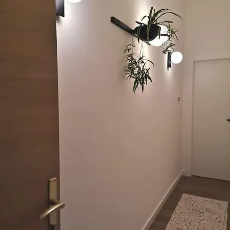 Apartment With Balcony - Near And Town Center